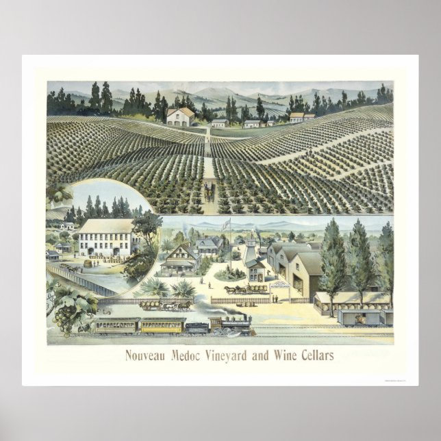 Jugendstil-Medoc Weinberg und Weinkeller Poster (Vorne)