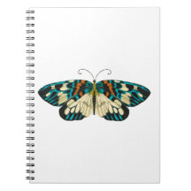 Jugendstilschmetterling