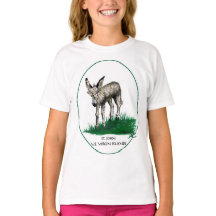 Jugendt-shirt mit Baby-Esel, Johannes, USVI