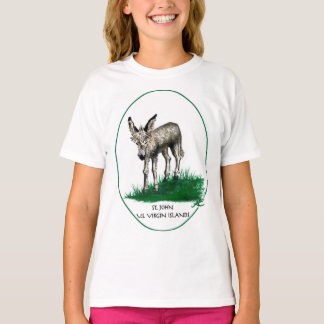 Jugendt-shirt mit Baby-Esel, Johannes, USVI T-Shirt