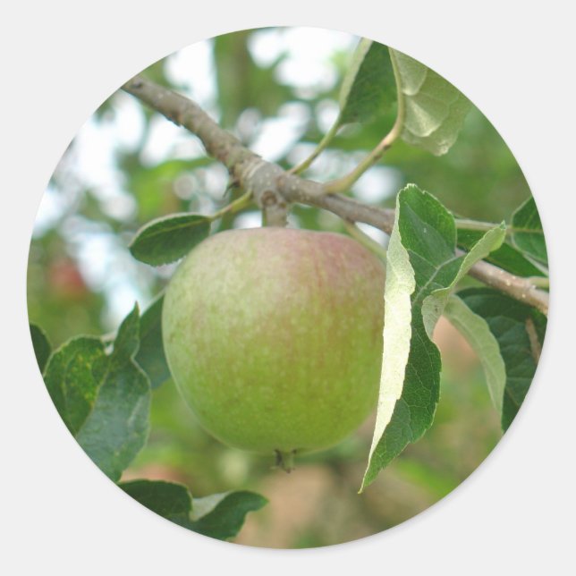 Juicy Green Apple Runder Aufkleber (Vorderseite)