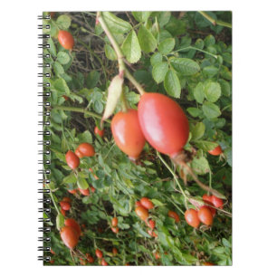 Juicy Rote Rose Hips Notebook Notizblock