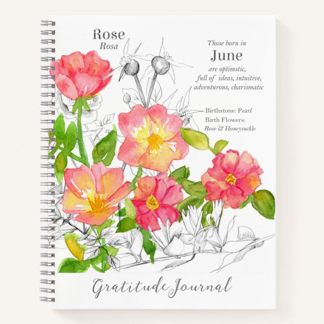 Juin Anniversaire Pink Wild Rose Gratitude Journal (Devant)