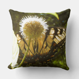 Juin Coussin de fleurs Monarch
