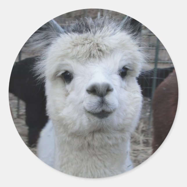 Jules Verne Runder Aufkleber (Vorderseite)