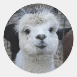 Jules Verne Runder Aufkleber