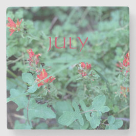 JULI STEINUNTERSETZER