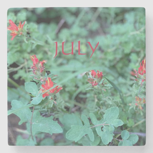 JULI STEINUNTERSETZER (Vorderseite)