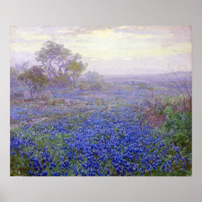 Julian Onderdonk Ein wolkiger Tag, Bluebonnets Poster (Vorne)