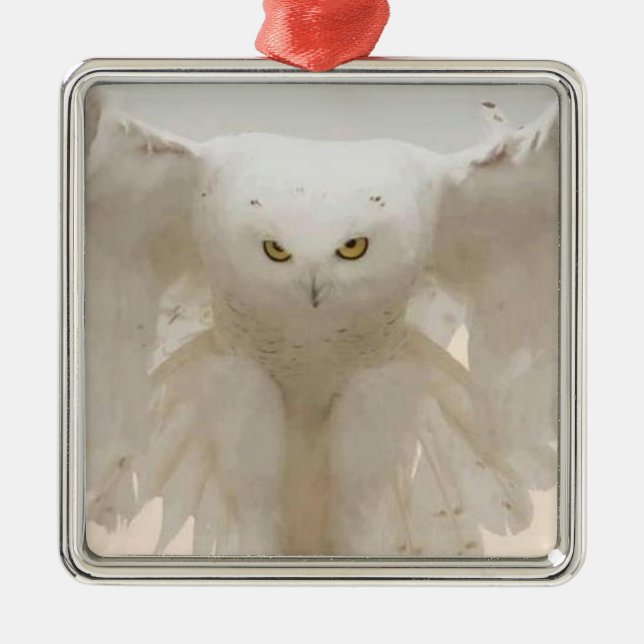 JULIAN OWL ORNAMENT (Vorne)