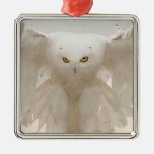 JULIANISCHE EIGENSCHAFT SILBERNES ORNAMENT