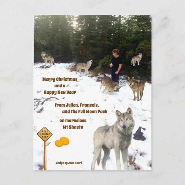 Julien, Francois und der Vollmond Pack Postkarte (Vorderseite)