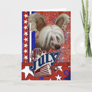 July 4th Firecracker - Chinese Crested Karte