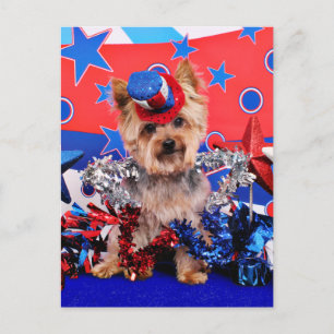 July 4th - Yorkie - Vinnie Postkarte