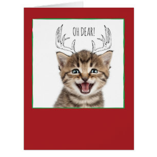 Jumbo Christmas Cats & Doodles Christmas Card