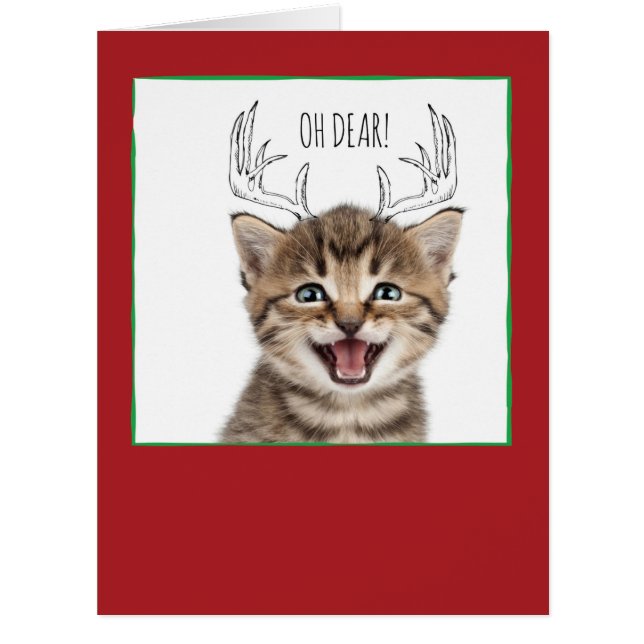 Jumbo Christmas Cats & Doodles Christmas Card (Devant)