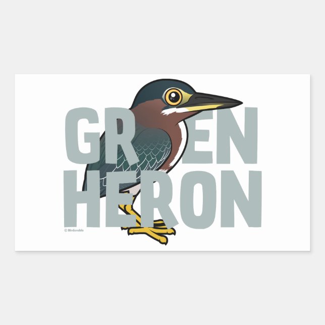 Jumbo Green Heron Rechteckiger Aufkleber (Vorderseite)
