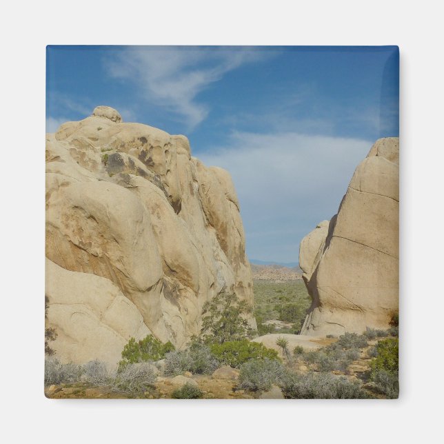 Jumbo Rocks im Joshua-Tree-Nationalpark Magnet (Vorne)