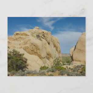 Jumbo Rocks im Joshua-Tree-Nationalpark Postkarte