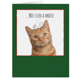 Jumbo Weihnachtskarten