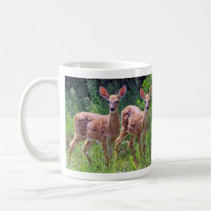 Jumeaux de faon dans la tasse de Hawkweed