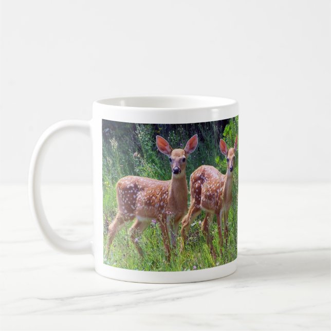 Jumeaux de faon dans la tasse de Hawkweed (Gauche)