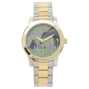 Jument et poulain avec le visage de montre de