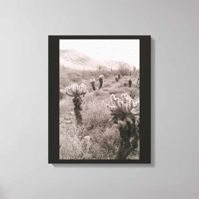 Jumping Cholla Cactus Desert B&W Foto Prints Leinwanddruck (Vorderseite)
