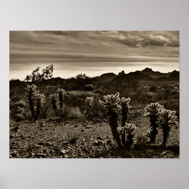 Jumping Cholla Cactus Poster (Vorne)