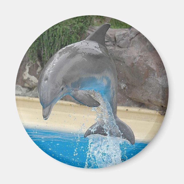 Jumping Dolphin Magnet (Vorne)