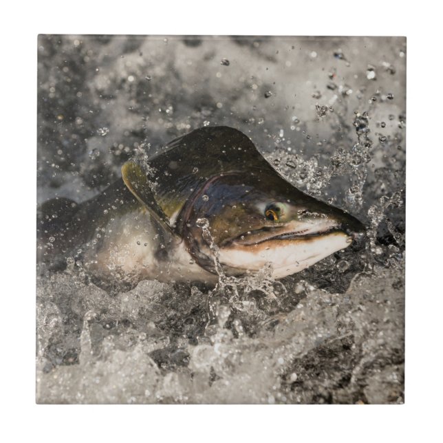 Jumping Lmon Fliese (Vorderseite)