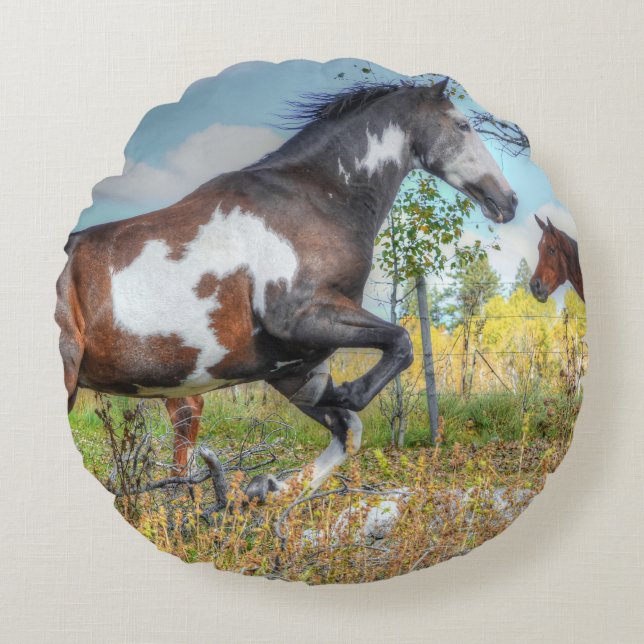 Jumping Pinto Paint Stallion auf einer Pferderasse Rundes Kissen (Vorderseite)