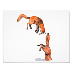Jumping Red Fox Fotodruck