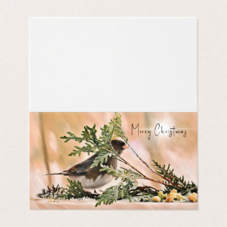 Junco d'hiver - Je vous souhaite bonheur et joie