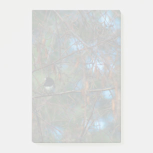 Junco Post-it Klebezettel