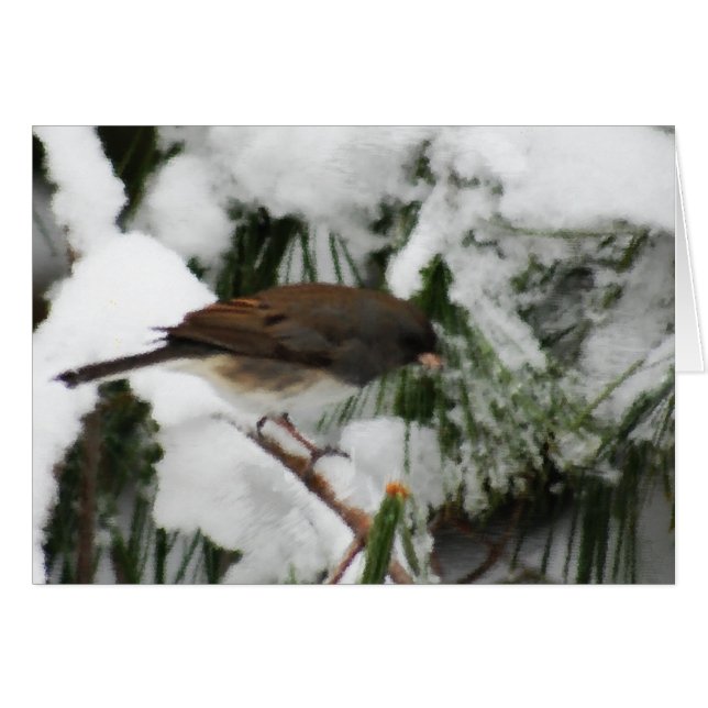 Junco Songbird Painting (Vorderseite (Horizontal))