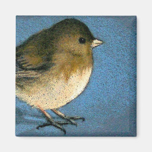 JUNCO-VOGEL-ZEICHNEN MAGNET