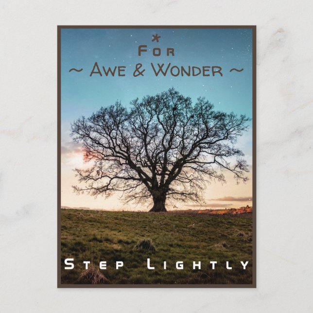 Junction Card Nr. 43a: Step Lightly (Old Oak Tree) Postkarte (Vorderseite)