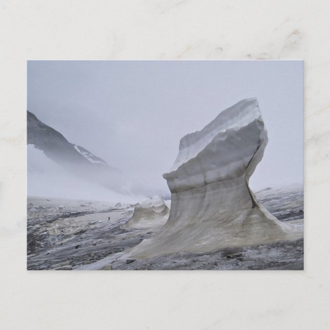 Juneau Icefield Postcard Postkarte (Vorderseite)