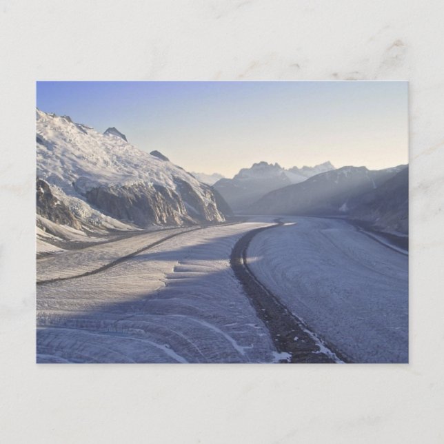 Juneau Icefield Postcard Postkarte (Vorderseite)