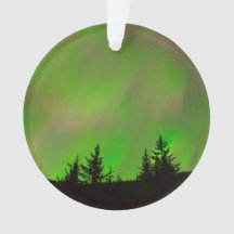 Juneaus Nordlichter