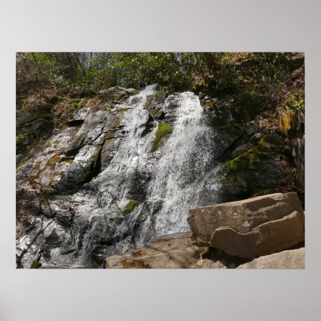 Juney Whank Falls at Smoky Mountains Poster (Vorne)