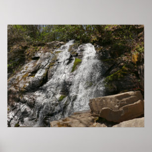Juney Whank Falls in den Smoky Mountains Poster