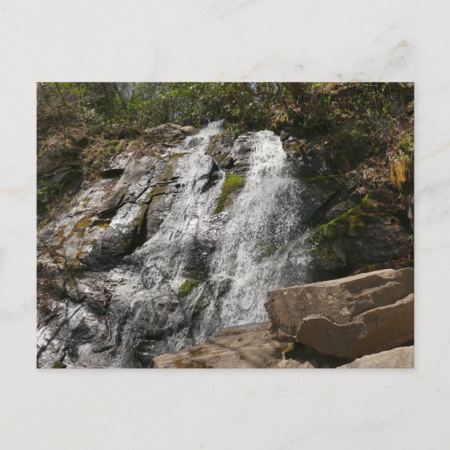 Juney Whank Falls in Smoky Mountains Postkarte (Vorderseite)