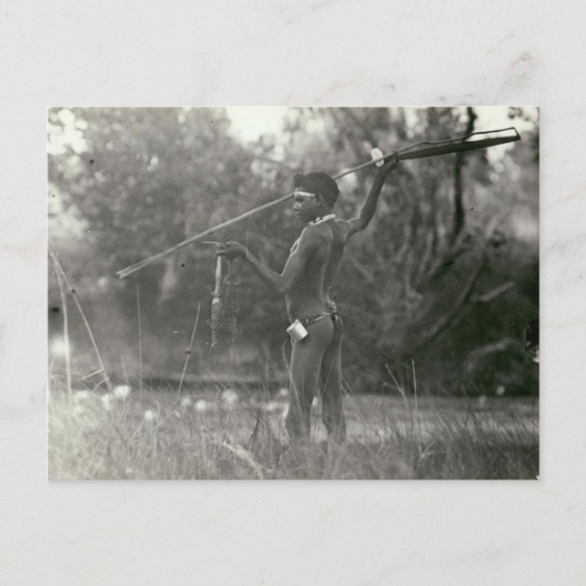 Junge Aborigine-Jäger mit Speer und Woomera Postkarte (Vorderseite)