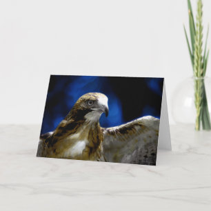 Junge Adler fliegen weg (Karte) Karte