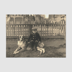 Junge aus den 1890er Jahren sitzt auf St Bernard D Seidenpapier
