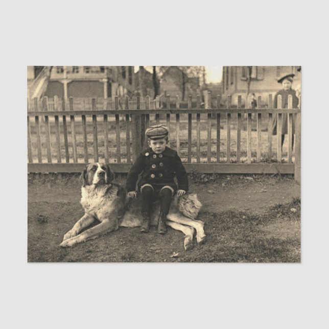 Junge aus den 1890er Jahren sitzt auf St Bernard D Seidenpapier (Vorderseite)