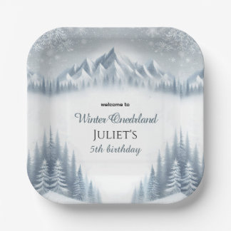 Junge blauer Schnee Winter Onederland 13. Geburtst Pappteller