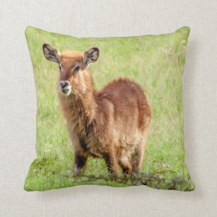 Junge Brown Antilope Waterbuck Getty Bild-  Kissen